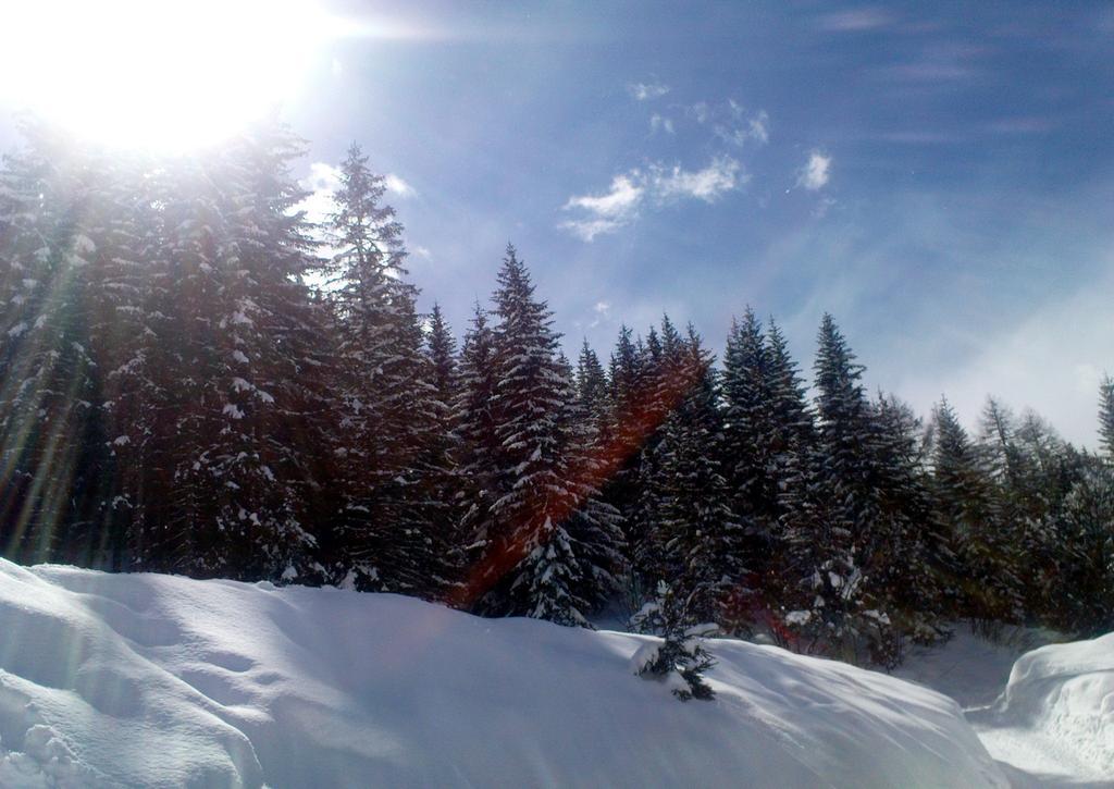 Alpenhäuser Marcius Sonnenalpe Nassfeld Exteriör bild
