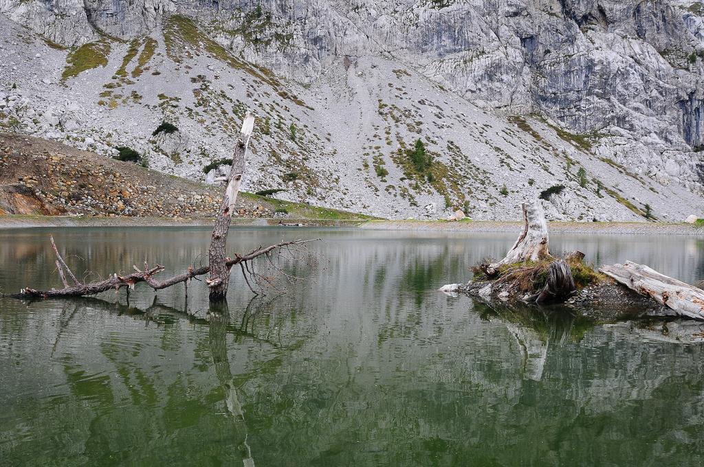 Alpenhäuser Marcius Sonnenalpe Nassfeld Exteriör bild